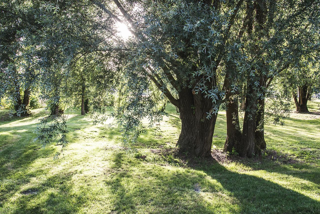 Отель L'Escale Des Chateaux De La Loire Ange Экстерьер фото